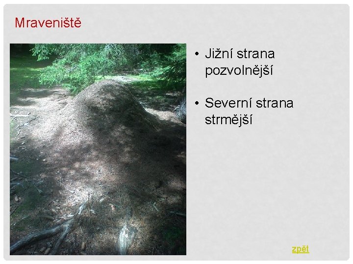 Mraveniště • Jižní strana pozvolnější • Severní strana strmější zpět 