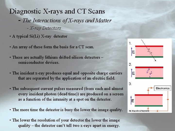 Diagnostic X-rays and CT Scans - The Interactions of X-rays and Matter - X-ray