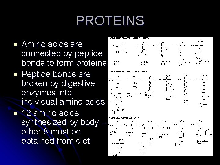 PROTEINS l l l Amino acids are connected by peptide bonds to form proteins