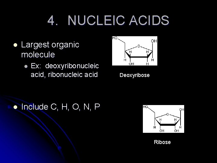 4. NUCLEIC ACIDS l Largest organic molecule l l Ex: deoxyribonucleic acid, ribonucleic acid