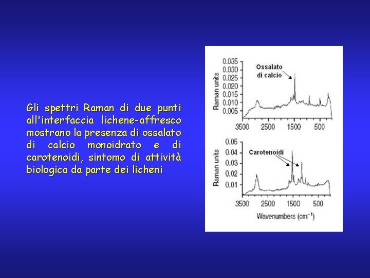 Gli spettri Raman di due punti all'interfaccia lichene-affresco mostrano la presenza di ossalato di