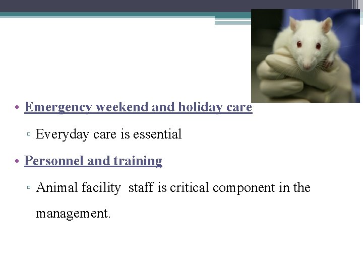  • Emergency weekend and holiday care ▫ Everyday care is essential • Personnel