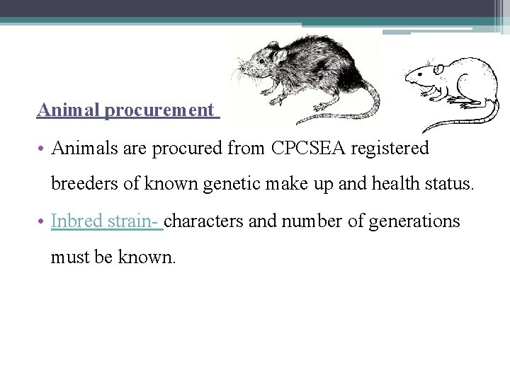 Animal procurement • Animals are procured from CPCSEA registered breeders of known genetic make