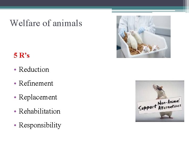 Welfare of animals 5 R’s • Reduction • Refinement • Replacement • Rehabilitation •