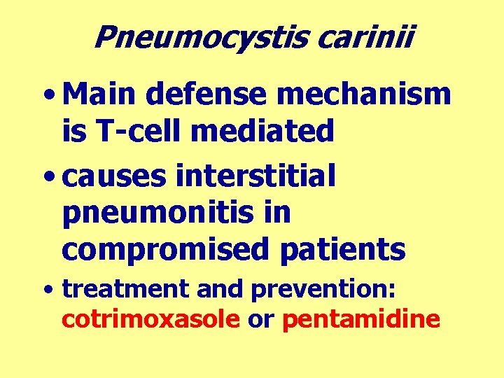 Pneumocystis carinii • Main defense mechanism is T-cell mediated • causes interstitial pneumonitis in