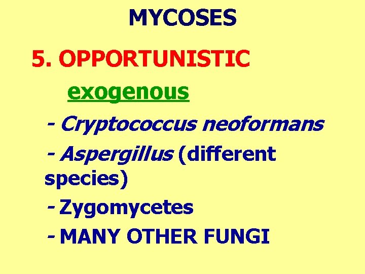 MYCOSES 5. OPPORTUNISTIC exogenous - Cryptococcus neoformans - Aspergillus (different species) - Zygomycetes -