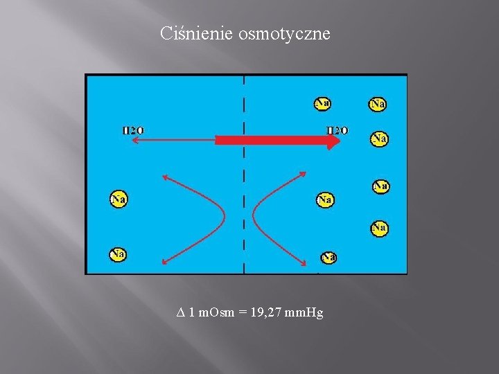 Ciśnienie osmotyczne Δ 1 m. Osm = 19, 27 mm. Hg 
