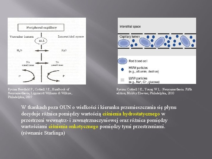 Rycina Newfield P. , Cottrell J. E. , Handbook of Neuroanesthesia, Lippincott Williams &