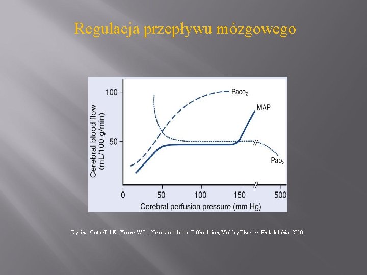 Regulacja przepływu mózgowego Rycina: Cottrell J. E. , Young W. L. : Neuroanesthesia. Fifth