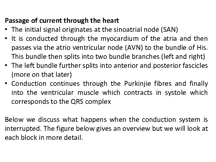 Passage of current through the heart • The initial signal originates at the sinoatrial Passage of current through the heart • The initial signal originates at the sinoatrial
