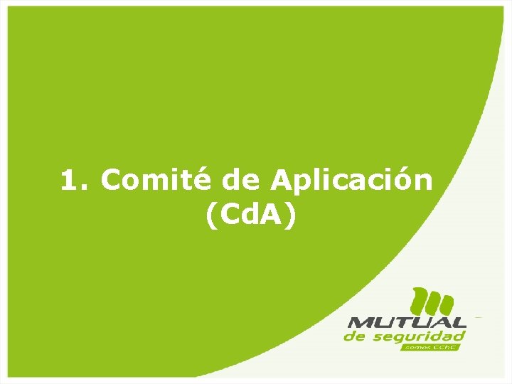 1. Comité de Aplicación (Cd. A) Cuenta 2012 y Lineamientos 2013 