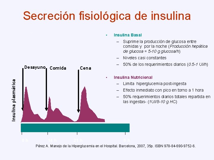 Secreción fisiológica de insulina • Insulina Basal – Suprime la producción de glucosa entre