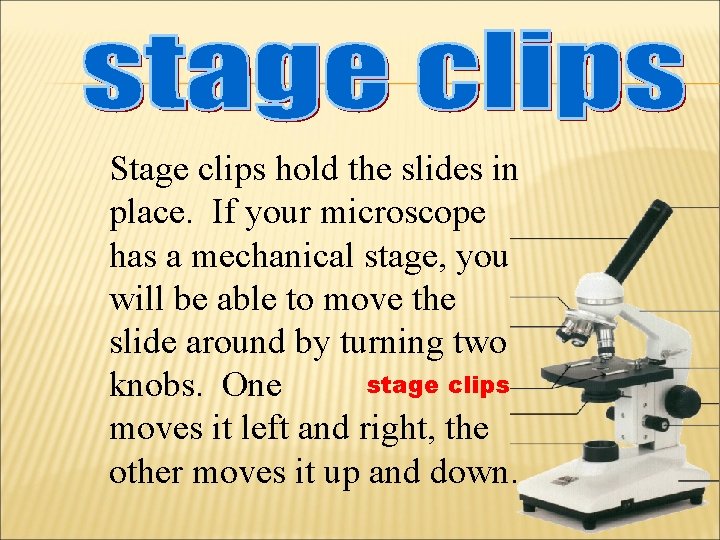 Stage clips hold the slides in place. If your microscope has a mechanical stage,