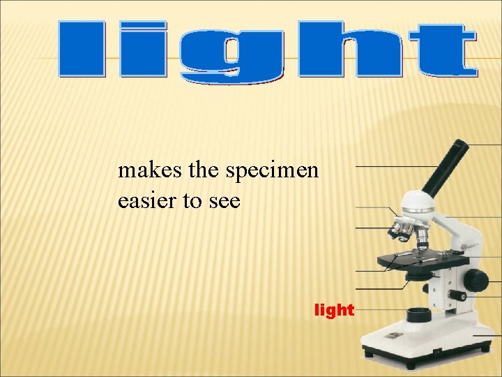 makes the specimen easier to see light 