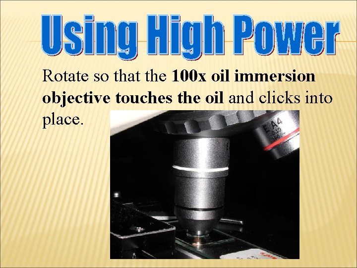 Rotate so that the 100 x oil immersion objective touches the oil and clicks