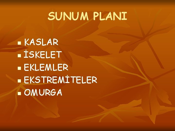 SUNUM PLANI KASLAR n İSKELET n EKLEMLER n EKSTREMİTELER n OMURGA n 