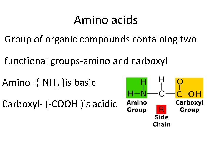 Amino acids Group of organic compounds containing two functional groups-amino and carboxyl Amino- (-NH Amino acids Group of organic compounds containing two functional groups-amino and carboxyl Amino- (-NH