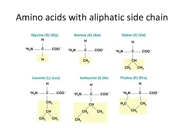 Amino acids with aliphatic side chain Amino acids with aliphatic side chain
