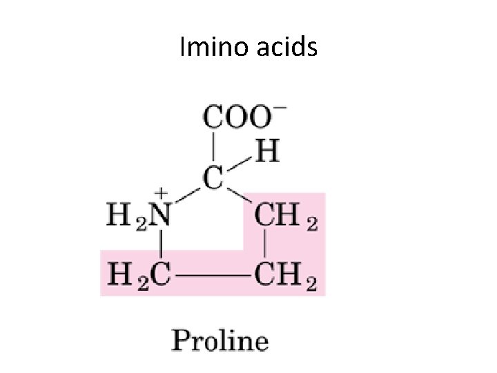Imino acids Imino acids