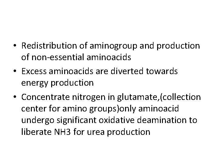 • Redistribution of aminogroup and production of non-essential aminoacids • Excess aminoacids are • Redistribution of aminogroup and production of non-essential aminoacids • Excess aminoacids are