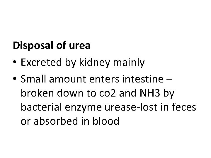 Disposal of urea • Excreted by kidney mainly • Small amount enters intestine – Disposal of urea • Excreted by kidney mainly • Small amount enters intestine –