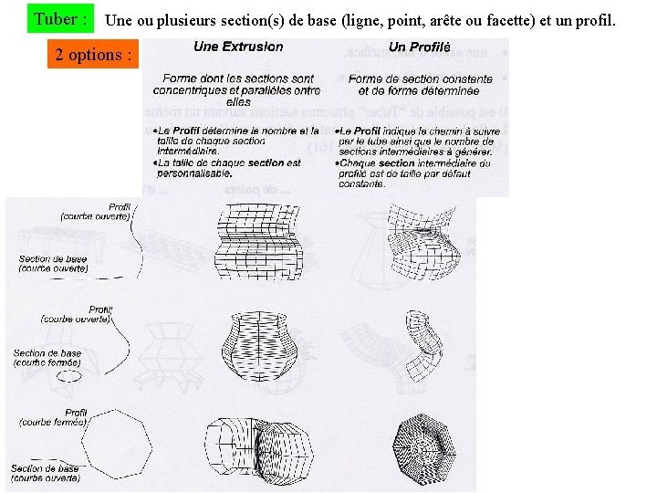 Tuber : Une ou plusieurs section(s) de base (ligne, point, arête ou facette) et