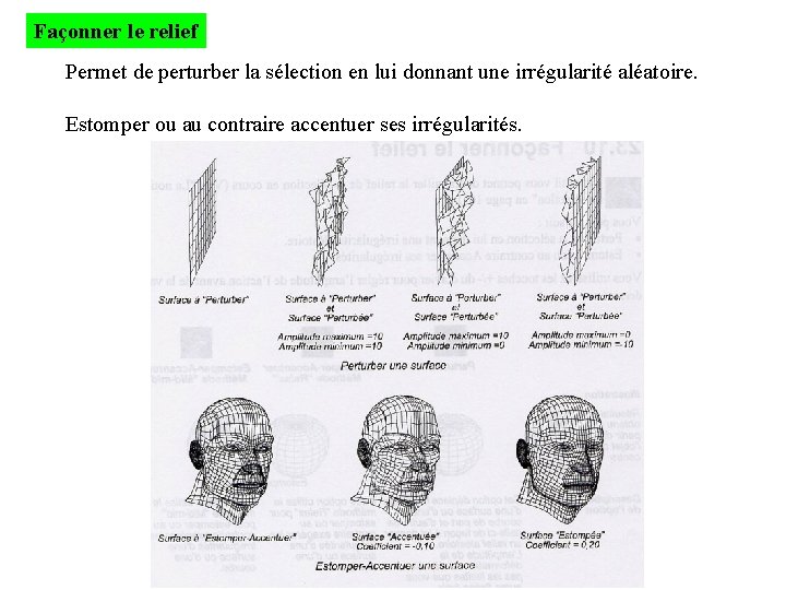 Façonner le relief Permet de perturber la sélection en lui donnant une irrégularité aléatoire.