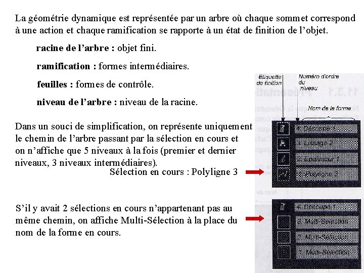 La géométrie dynamique est représentée par un arbre où chaque sommet correspond à une