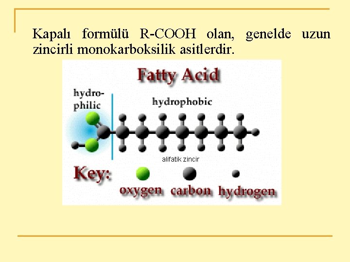 Kapalı formülü R-COOH olan, genelde uzun zincirli monokarboksilik asitlerdir. alifatik zincir 