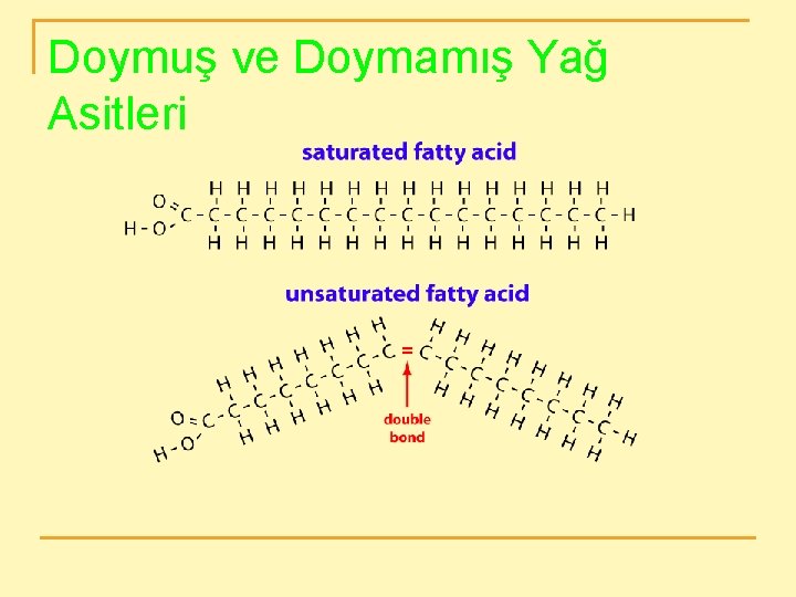 Doymuş ve Doymamış Yağ Asitleri 