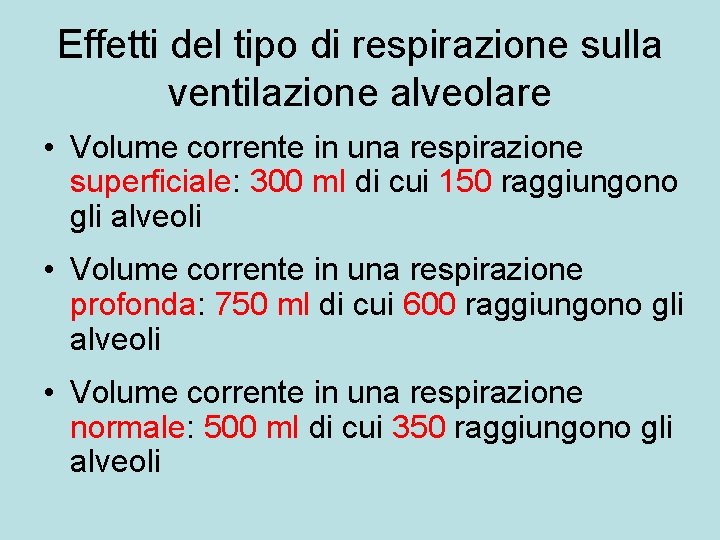 Effetti del tipo di respirazione sulla ventilazione alveolare • Volume corrente in una respirazione