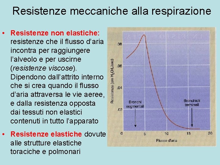 Resistenze meccaniche alla respirazione • Resistenze non elastiche: resistenze che il flusso d’aria incontra