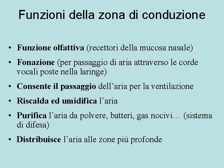 Funzioni della zona di conduzione • Funzione olfattiva (recettori della mucosa nasale) • Fonazione