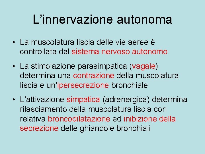 L’innervazione autonoma • La muscolatura liscia delle vie aeree è controllata dal sistema nervoso