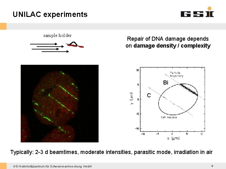 UNILAC experiments sample holder Repair of DNA damage depends on damage density / complexity