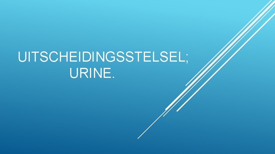 UITSCHEIDINGSSTELSEL; URINE. 