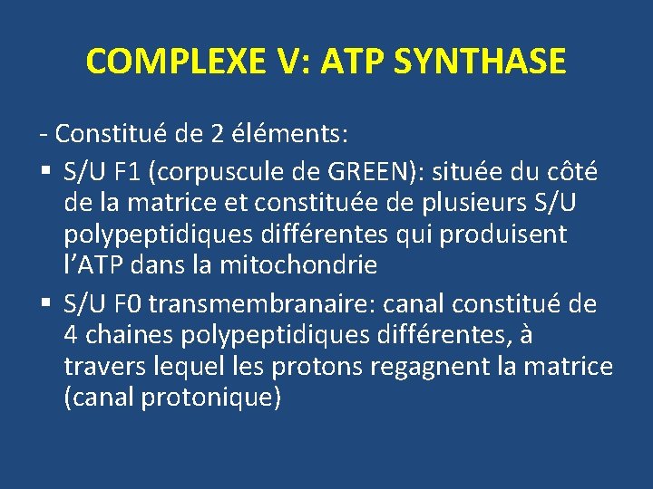 COMPLEXE V: ATP SYNTHASE - Constitué de 2 éléments: § S/U F 1 (corpuscule