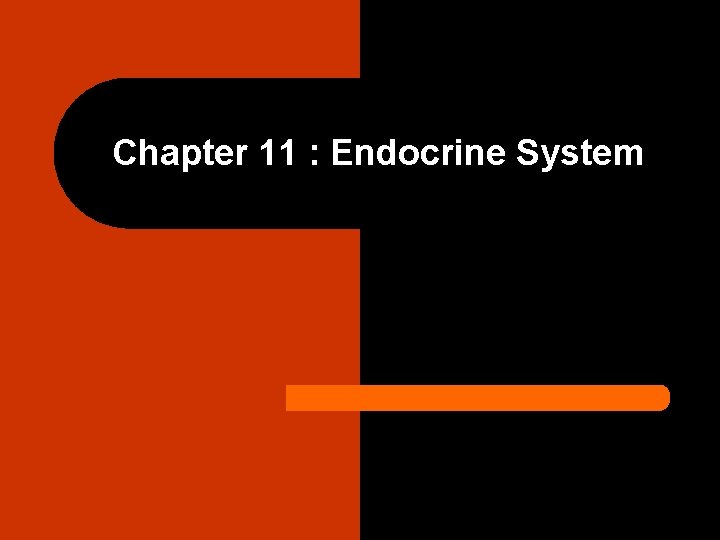 Chapter 11 : Endocrine System 