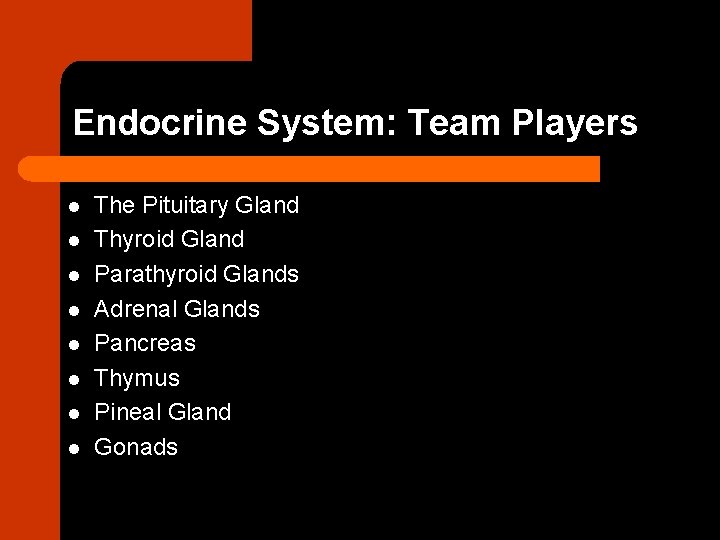 Endocrine System: Team Players l l l l The Pituitary Gland Thyroid Gland Parathyroid