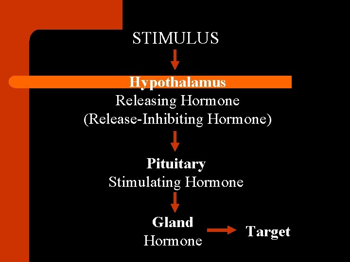 STIMULUS Hypothalamus Releasing Hormone (Release-Inhibiting Hormone) Pituitary Stimulating Hormone Gland Hormone Target 