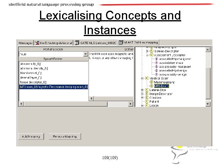 Lexicalising Concepts and Instances 109(109) 