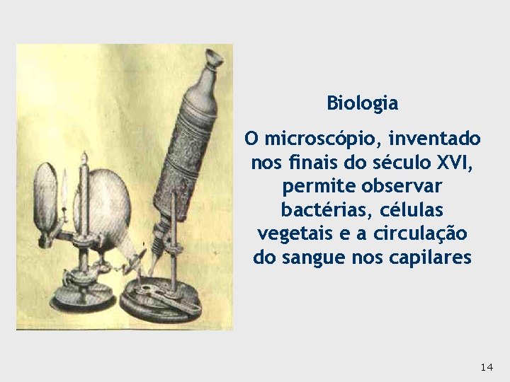 Biologia O microscópio, inventado nos finais do século XVI, permite observar bactérias, células vegetais