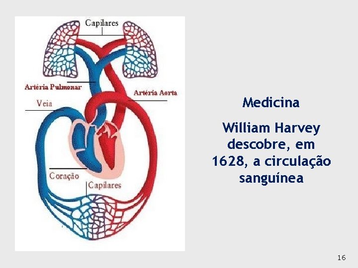 Medicina William Harvey descobre, em 1628, a circulação sanguínea 16 