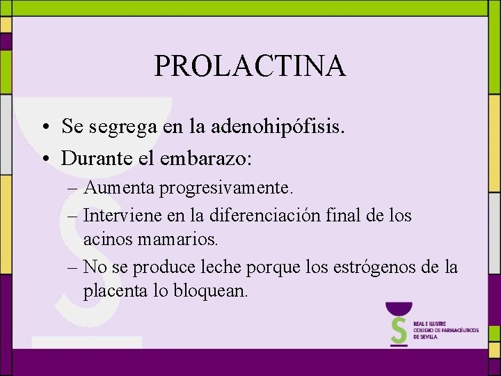 PROLACTINA • Se segrega en la adenohipófisis. • Durante el embarazo: – Aumenta progresivamente.