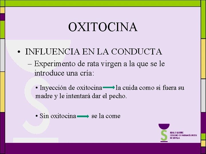 OXITOCINA • INFLUENCIA EN LA CONDUCTA – Experimento de rata virgen a la que