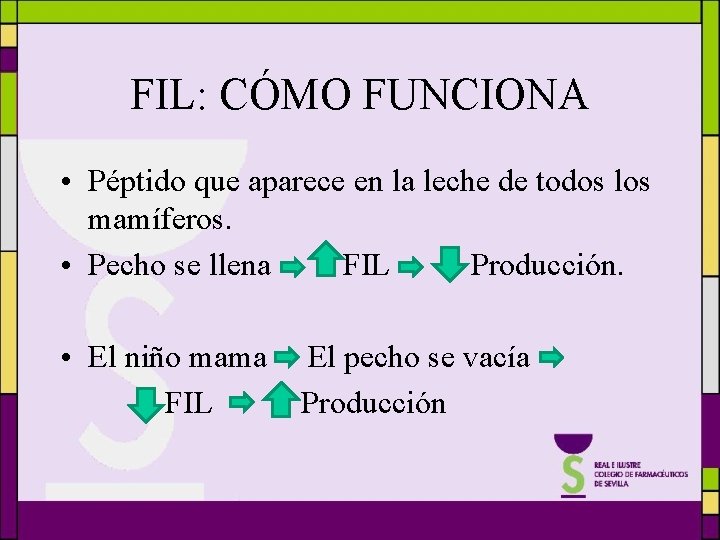 FIL: CÓMO FUNCIONA • Péptido que aparece en la leche de todos los mamíferos.