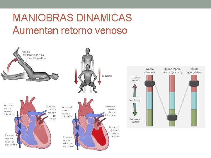MANIOBRAS DINAMICAS Aumentan retorno venoso MANIOBRAS DINAMICAS Aumentan retorno venoso