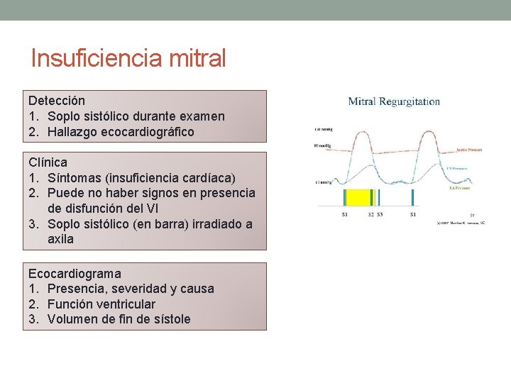 Insuficiencia mitral Detección 1. Soplo sistólico durante examen 2. Hallazgo ecocardiográfico Clínica 1. Síntomas Insuficiencia mitral Detección 1. Soplo sistólico durante examen 2. Hallazgo ecocardiográfico Clínica 1. Síntomas