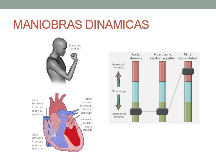 MANIOBRAS DINAMICAS MANIOBRAS DINAMICAS