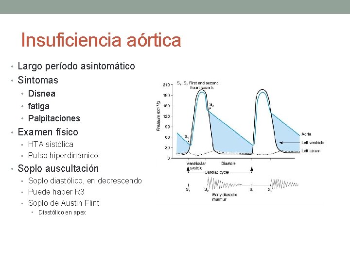 Insuficiencia aórtica • Largo período asintomático • Síntomas • Disnea • fatiga • Palpitaciones Insuficiencia aórtica • Largo período asintomático • Síntomas • Disnea • fatiga • Palpitaciones